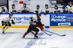 Photo hockey match Toulouse-Blagnac - Roanne le 21/12/2024