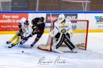 Photo hockey match Toulouse-Blagnac - Roanne le 21/12/2024