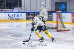 Photo hockey match Toulouse-Blagnac - Roanne le 21/12/2024