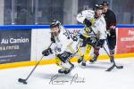 Photo hockey match Toulouse-Blagnac - Roanne le 21/12/2024