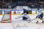 Photo hockey match Toulouse-Blagnac - Roanne le 21/12/2024