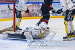 Photo hockey match Toulouse-Blagnac - Roanne le 21/12/2024