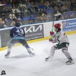 Photo hockey match Tours  - Anglet le 22/10/2024