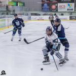 Photo hockey match Tours  - Dunkerque le 31/10/2024