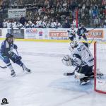 Photo hockey match Tours  - Dunkerque le 31/10/2024