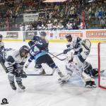 Photo hockey match Tours  - Dunkerque le 31/10/2024