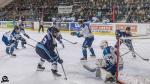 Photo hockey match Tours  - Nantes le 09/11/2024