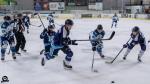 Photo hockey match Tours  - Nantes le 09/11/2024