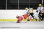 Photo hockey match Valence - Strasbourg II le 16/02/2013