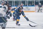 Photo hockey match Villard-de-Lans - Dunkerque le 09/11/2024