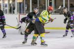Photo hockey match Viry-Chtillon - Dammarie-les-Lys le 01/02/2014