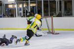 Photo hockey match Viry-Chtillon - Dammarie-les-Lys le 01/02/2014