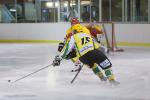 Photo hockey match Viry-Chtillon - Orlans le 30/11/2013