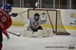 Photo hockey reportage  D3 : Wasquehal se prpare pour le carr final 