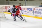 Photo hockey reportage Amical : Anglet - Brest en photos