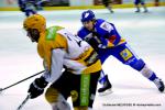 Photo hockey reportage Amical et agrable