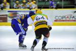 Photo hockey reportage Amical et agrable