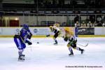 Photo hockey reportage Amical et agrable