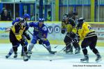 Photo hockey reportage Amicaux : C'est pas l'Ajoie !