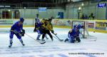 Photo hockey reportage Amicaux : C'est pas l'Ajoie !