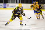 Photo hockey reportage Amicaux : L'Etoile Noire au finish