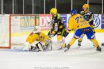 Photo hockey reportage Amicaux : L'Etoile Noire au finish