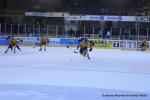 Photo hockey reportage Amicaux : Les Ducs trnent en Suisse