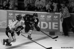 Photo hockey reportage Amicaux : Rouen s'impose  Amiens