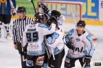 Photo hockey reportage Amicaux : Tours - Champigny x2