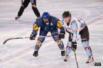 Photo hockey reportage Amicaux : Tours - Champigny x2