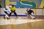 Photo hockey reportage CDF Roller : Les Griffons brillants