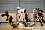 Photo hockey reportage CDF Roller : Les Griffons brillants