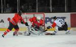 Photo hockey reportage CHL : Dmonstration