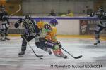 Photo hockey reportage Conti Cup : La douche italienne