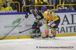 Photo hockey reportage Conti Cup : La douche italienne