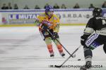 Photo hockey reportage Conti Cup : La douche italienne