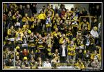 Photo hockey reportage Conti Cup : Photos srie 3