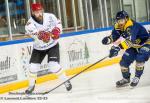 Photo hockey reportage D2  :  Villard de Lans - Meudon