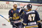 Photo hockey reportage D2: Les Ours s'imposent largement 