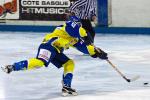 Photo hockey reportage D3 Carr Final : Toulon - Vanoise