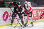 Photo hockey reportage D3 Playoffs : Reportage photo Bordeaux-Hogly