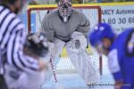 Photo hockey reportage Dijon - Mulhouse : effectifs et prparation.