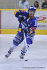 Photo hockey reportage Dijon - Mulhouse : effectifs et prparation.