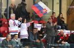 Photo hockey reportage EDF: La France domine la Slovaquie