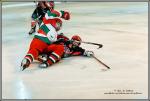 Photo hockey reportage Fem : Reportage photos Neuilly / Marne - Mexique :