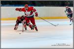 Photo hockey reportage Fem : Reportage photos Neuilly / Marne - Mexique :