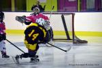 Photo hockey reportage Fem Elite : Bon dpart des Bisontines