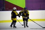Photo hockey reportage Fem Elite : Dans les serres de l'Aigle