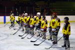 Photo hockey reportage Fem lite : L'Aigle vole tranquillement