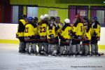 Photo hockey reportage Fem lite : L'Aigle vole tranquillement